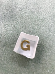 304 STAINLESS CHARM 'G'