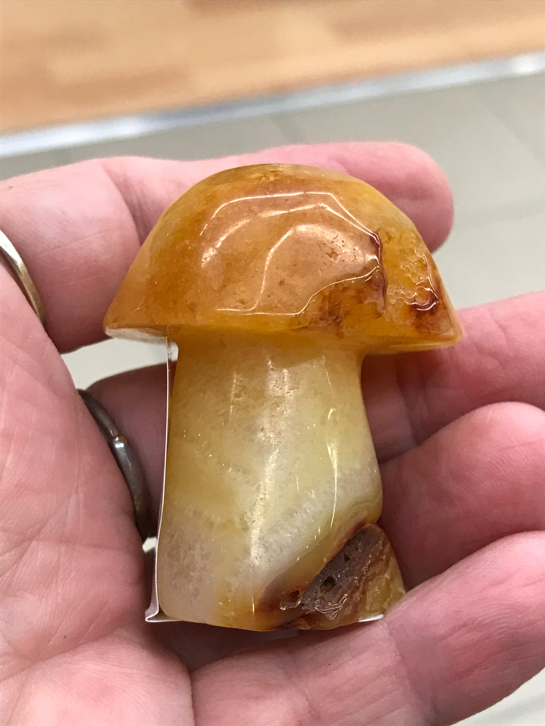 CARNELIAN MUSHROOM
