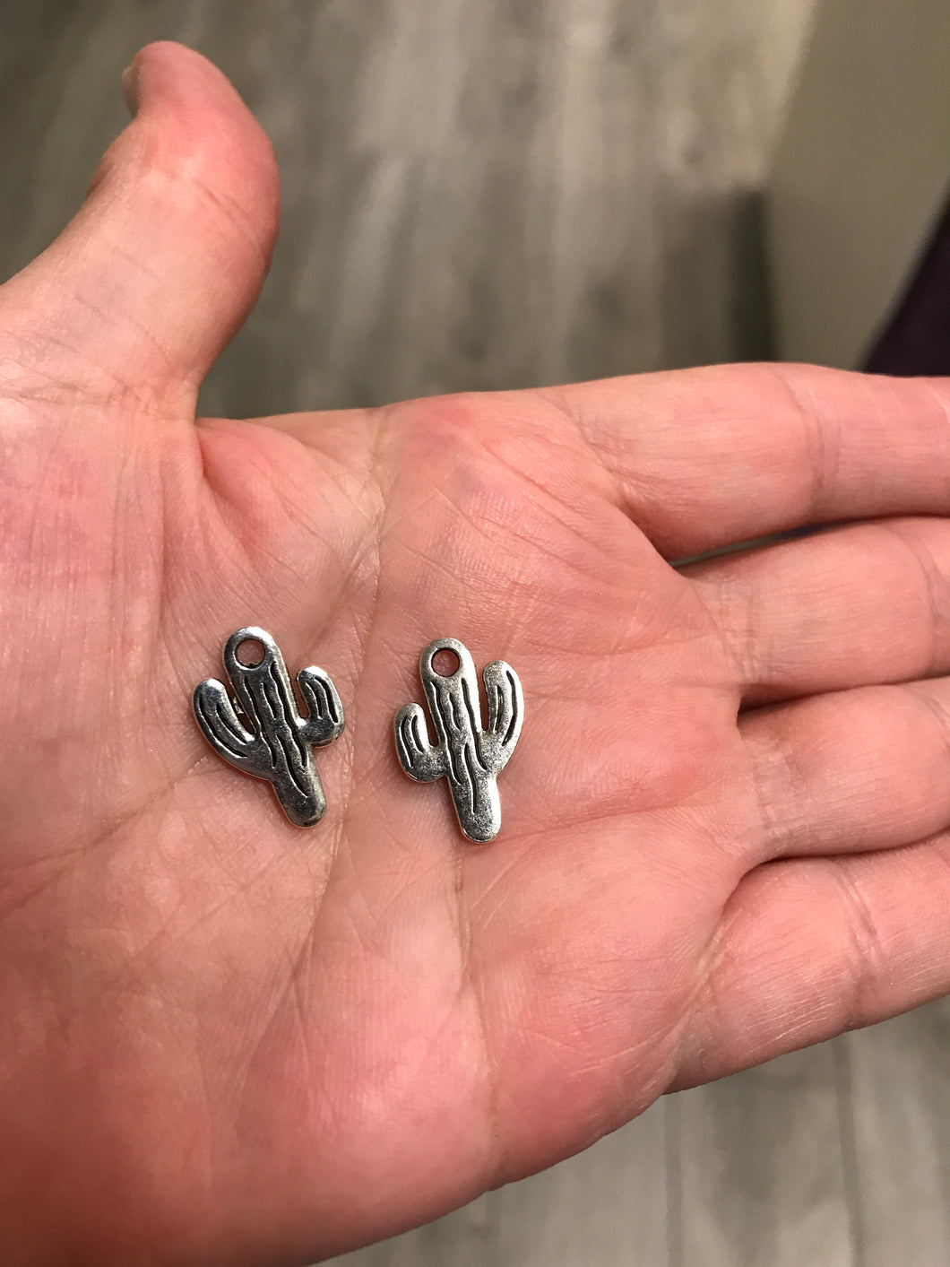 CACTUS CHARM