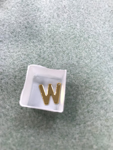 304 STAINLESS CHARM 'W'