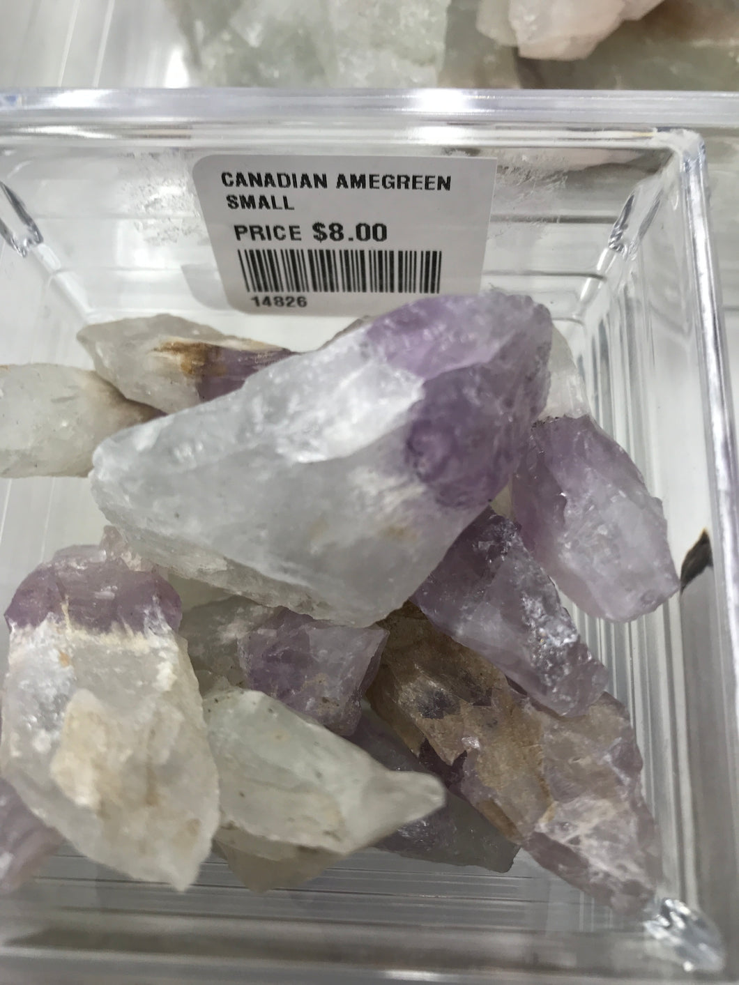 CANADIAN AMEGREEN