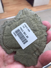 Load image into Gallery viewer, PYRITE SUN
