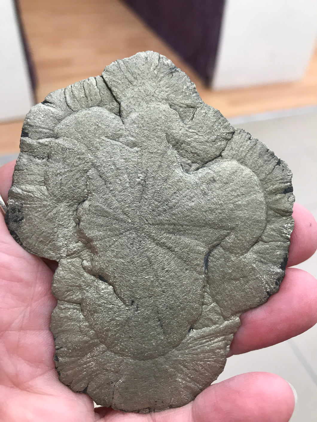 PYRITE SUN