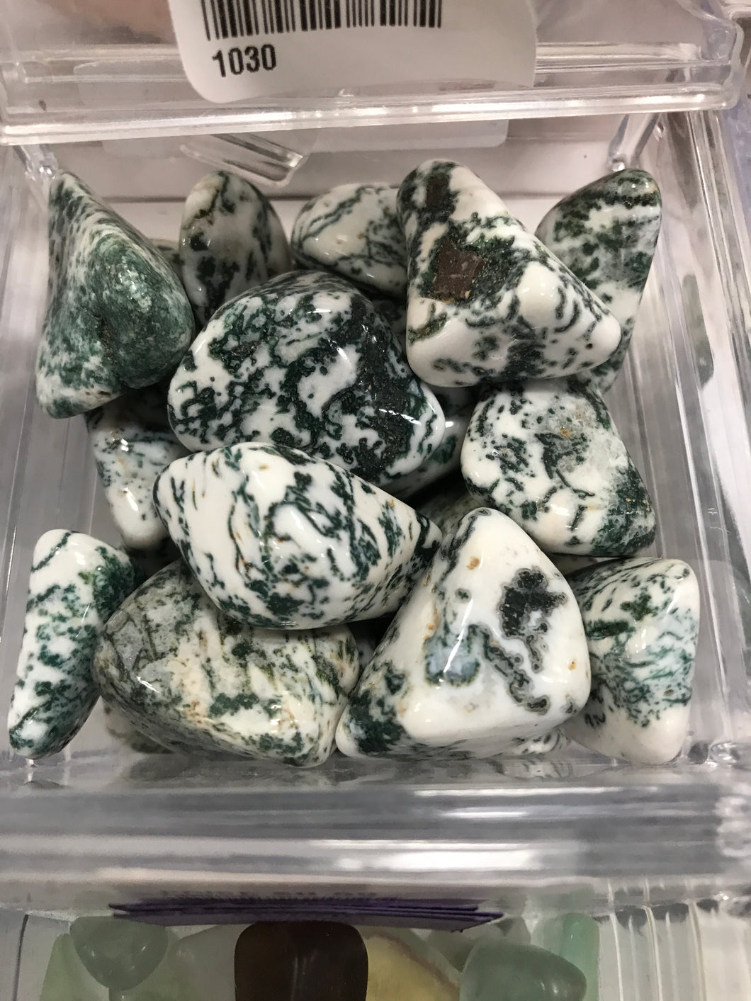 TREE AGATE
