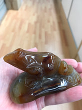 Load image into Gallery viewer, AGATE FROG
