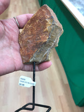 Load image into Gallery viewer, TIGER EYE PIN STAND
