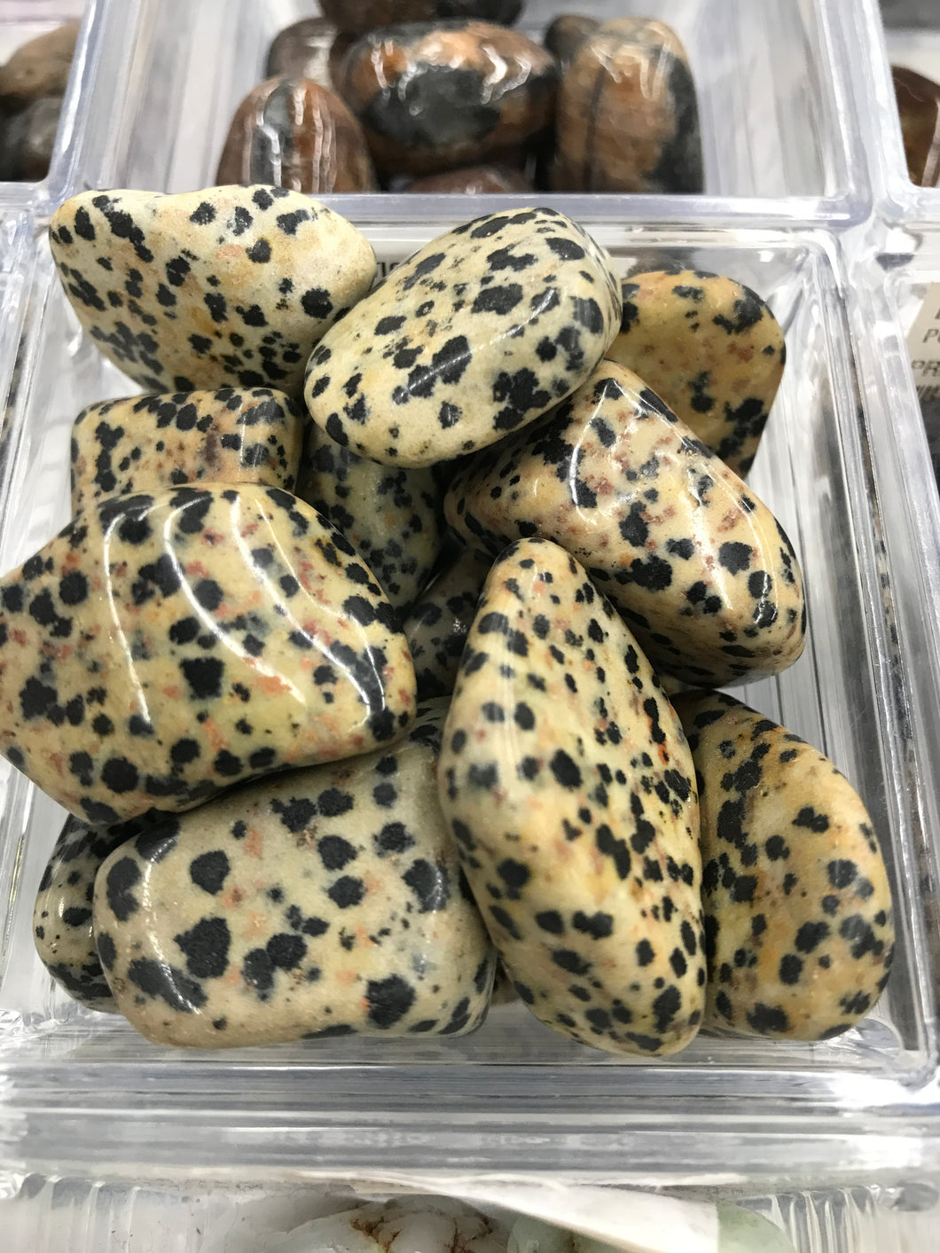 DALMATION JASPER TUMBLED