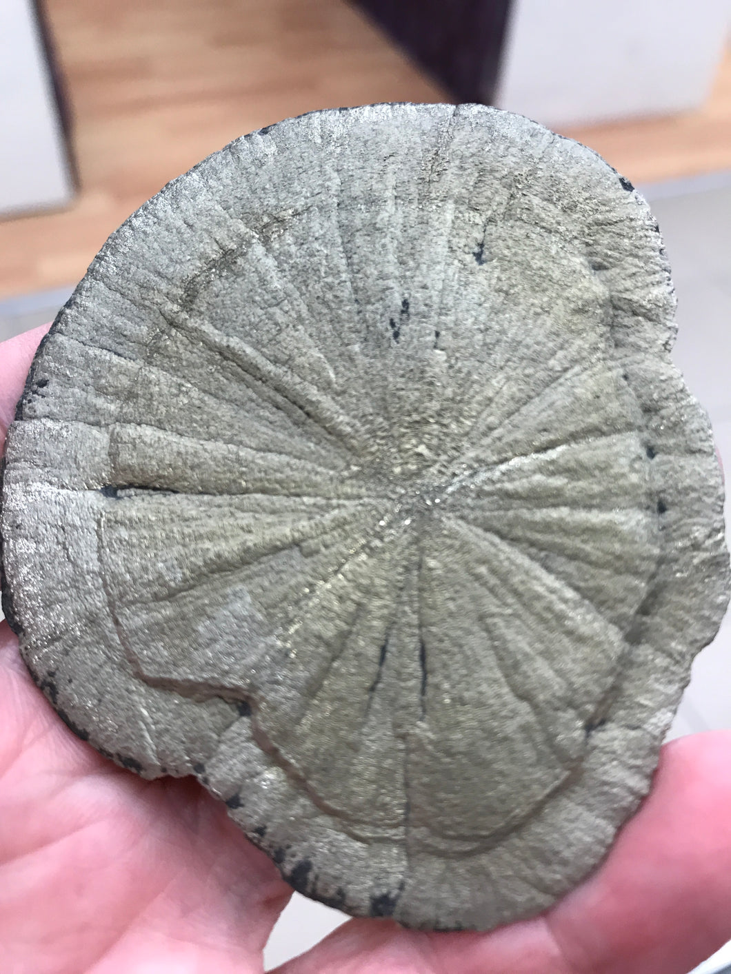 PYRITE SUN