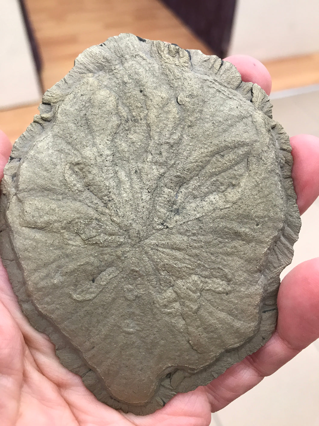PYRITE SUN