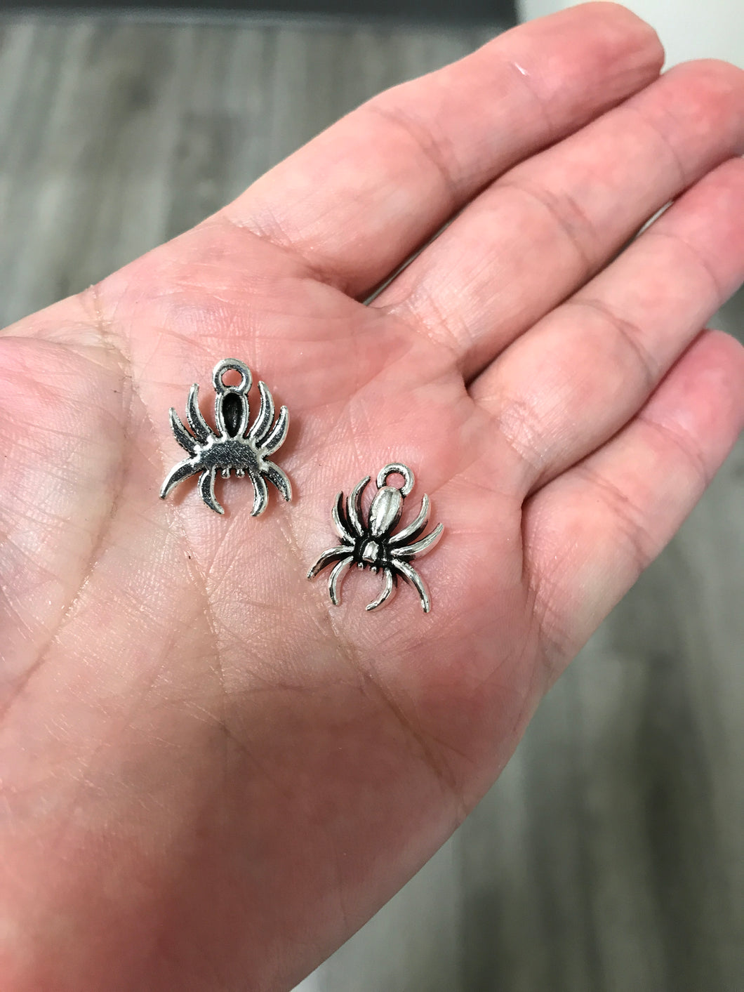 CHARM SPIDER