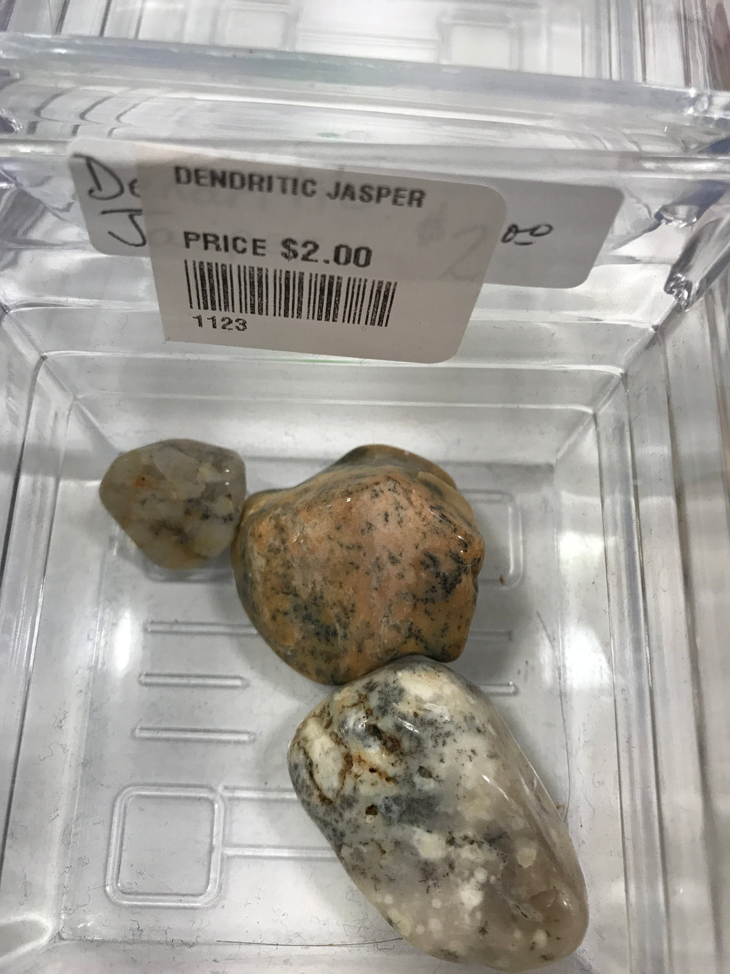 DENDRITIC JASPER