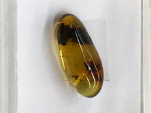 Load image into Gallery viewer, GREEN AMBER /W INSECT

