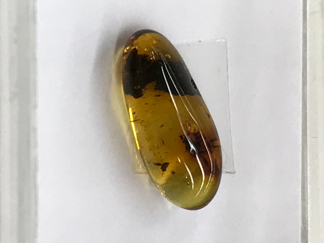 GREEN AMBER /W INSECT