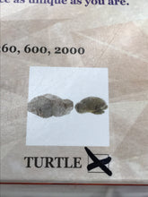 Load image into Gallery viewer, SOAPSTONE CARVING KIT TURTLE
