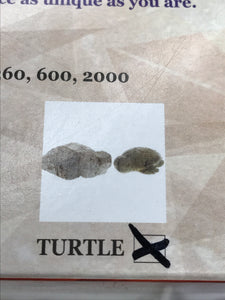 SOAPSTONE CARVING KIT TURTLE