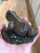 Load image into Gallery viewer, INDIAN AGATE FROG
