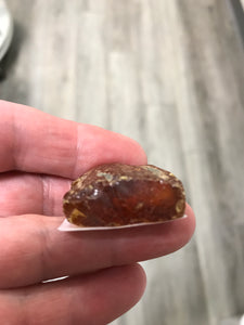 AMBER ROUGH