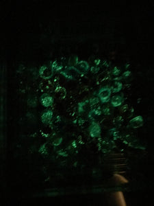 LAMPWORK GLOW IN DARK 8MM