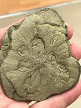 Load image into Gallery viewer, PYRITE SUN
