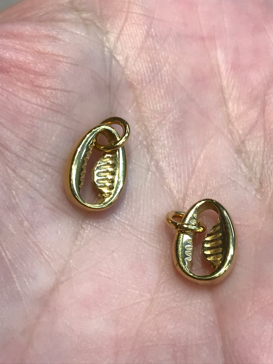 304 STAINLESS COWRIE SHELL