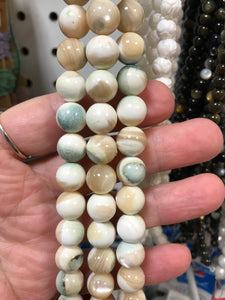 PEACOCK SHELL 10MM