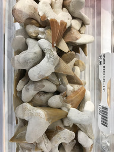 SHARK TEETH