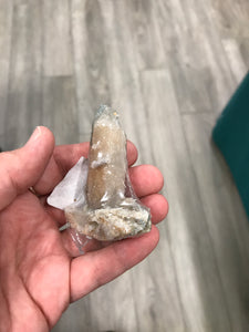 WITCH FINGERS
