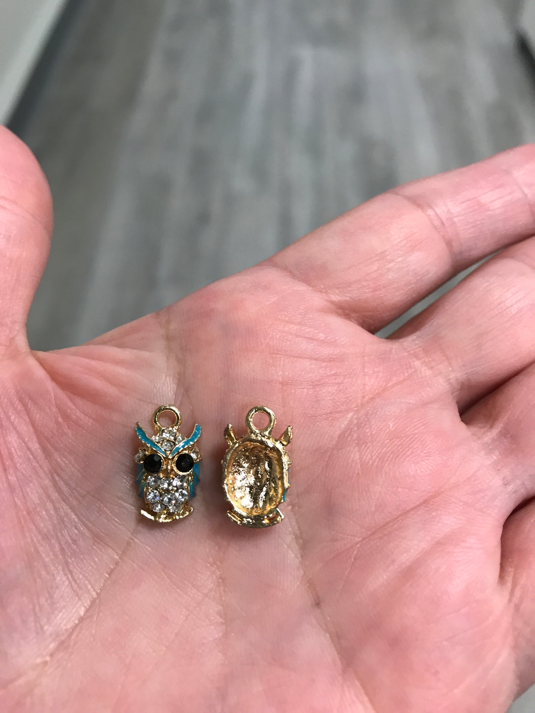 CHARM OWL