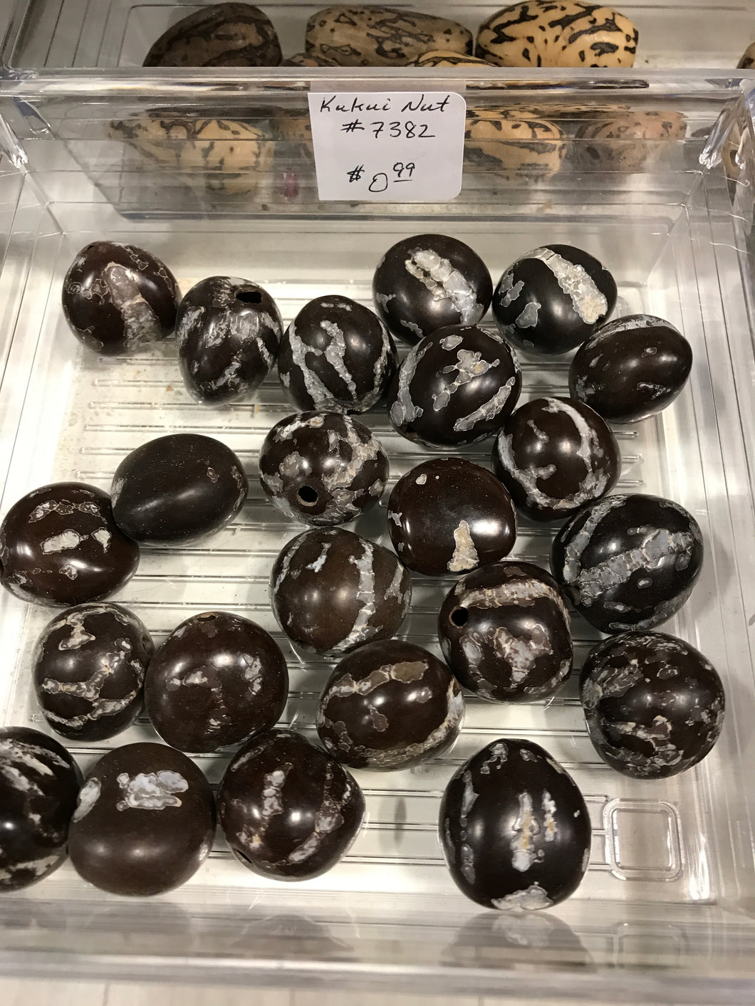KUKUI NUT WORMED