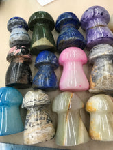 Load image into Gallery viewer, GEMSTONE MUSHROOMS
