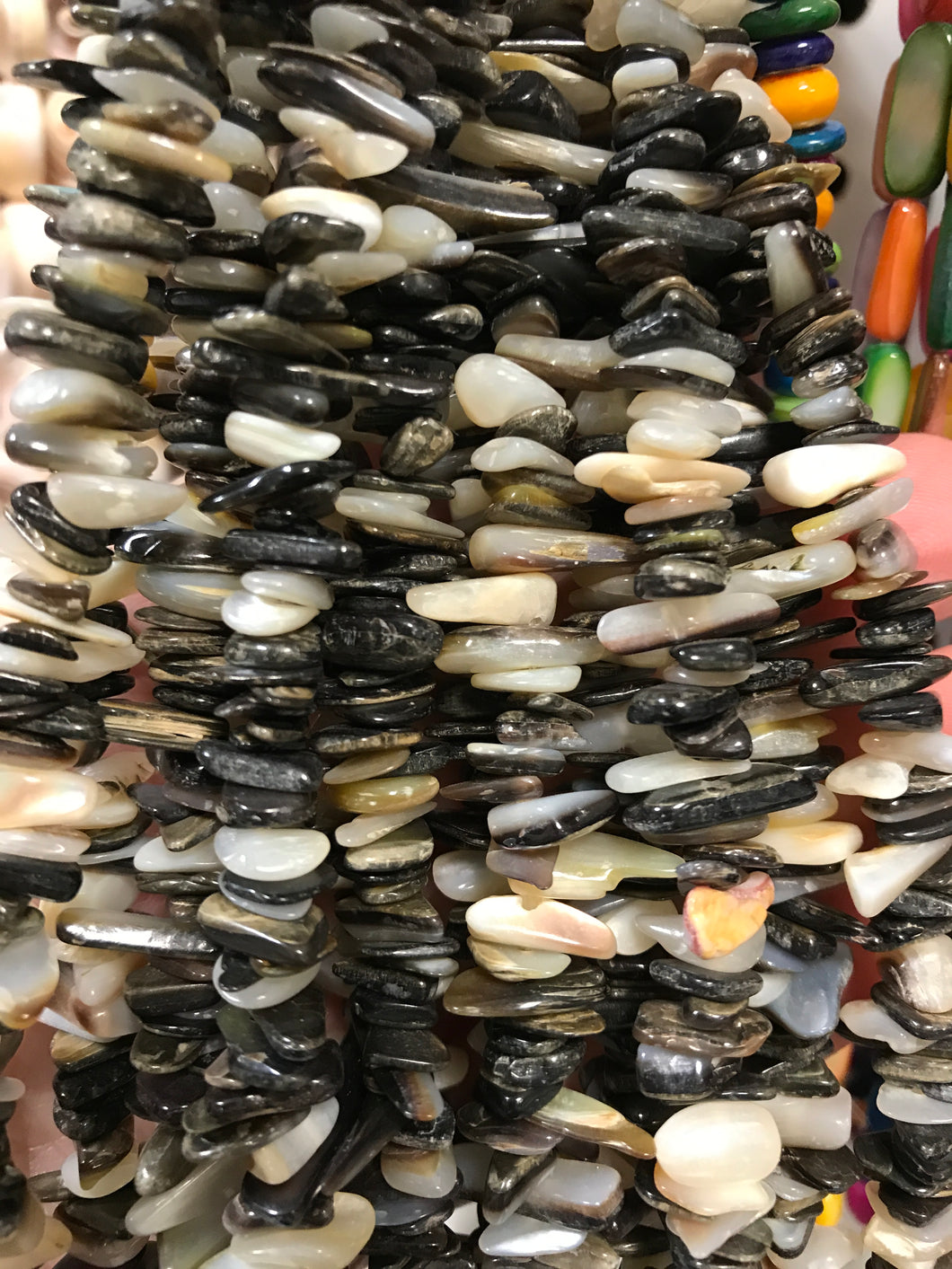 BLACK LIP SHELL CHIPS