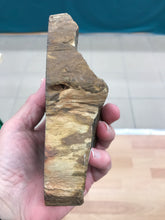 Load image into Gallery viewer, PODOCARPUS PET WOOD SLAB

