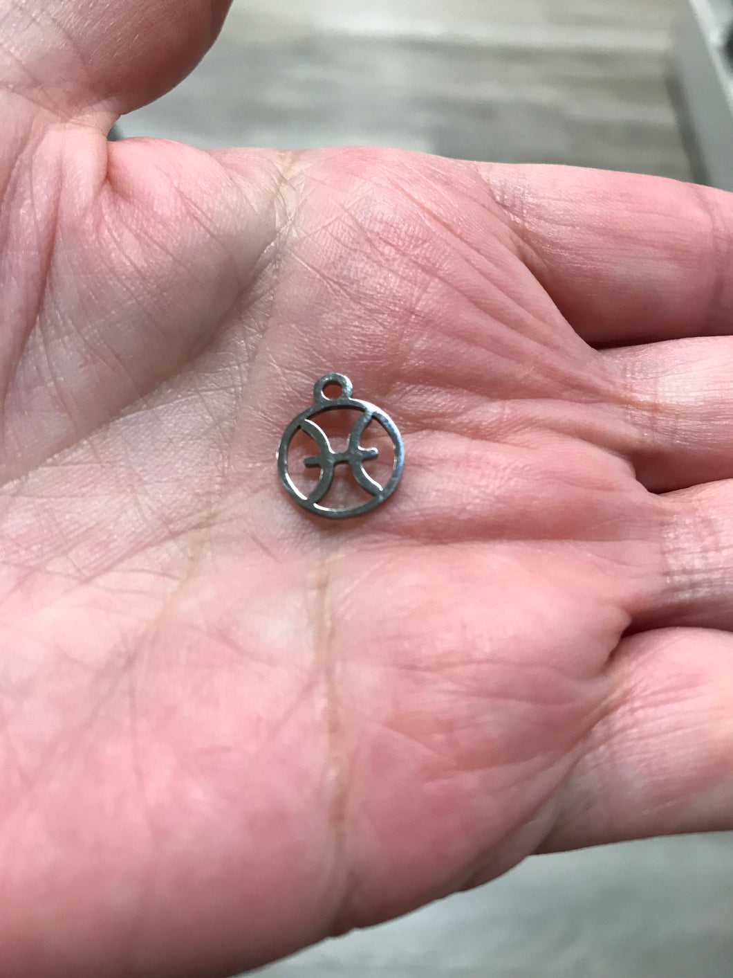 316 STAINLESS PISCES CHARM