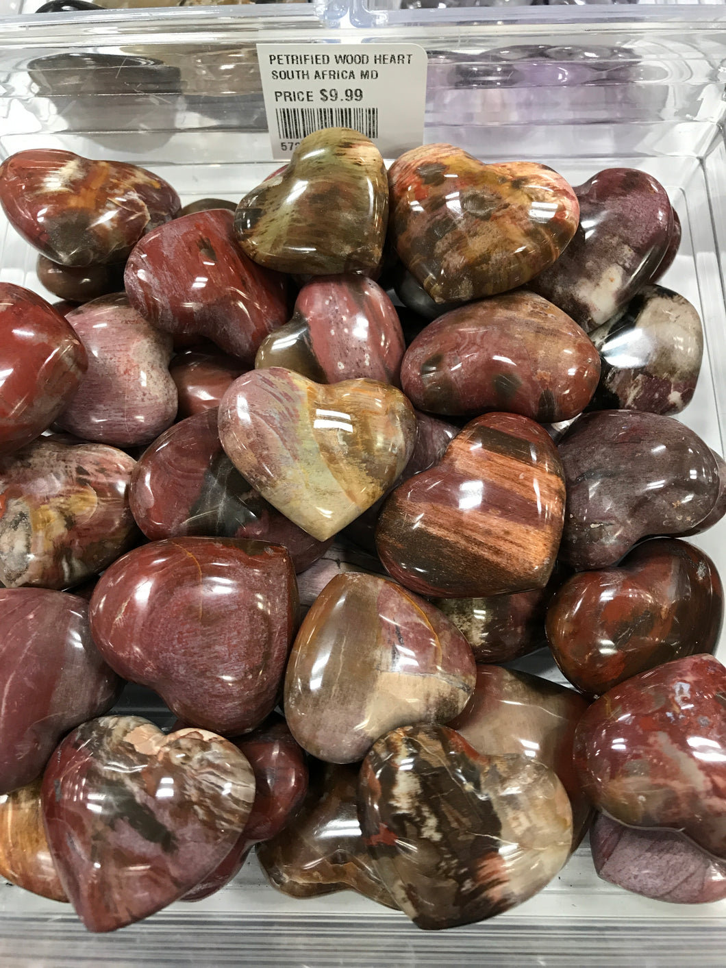 PETRIFIED WOOD HEART