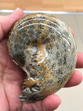 Load image into Gallery viewer, AMMONITE SUTURED END
