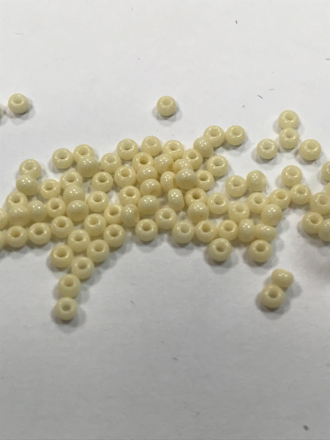 CZECH SEED BEAD 10/0