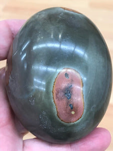 POLYCHROME JASPER PALM STONE