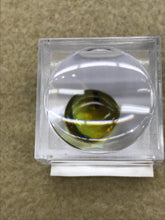 Load image into Gallery viewer, GREEN AMBER /W INSECT
