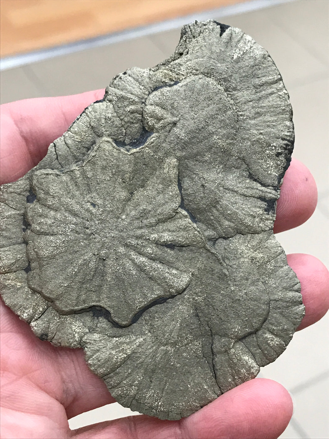 PYRITE SUN