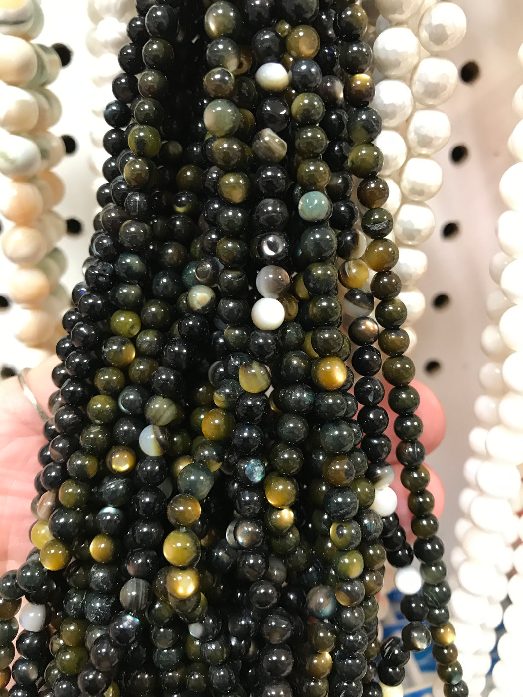 BLACK LIP SHELL 5-5.5MM