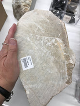 Load image into Gallery viewer, SOAPSTONE CHUNK 9.995KG

