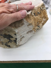 Load image into Gallery viewer, SOAPSTONE CHUNK 9.995KG
