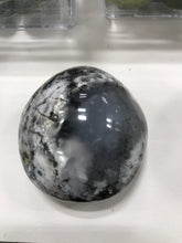 Load image into Gallery viewer, DENDRITIC AGATE PALM STONE
