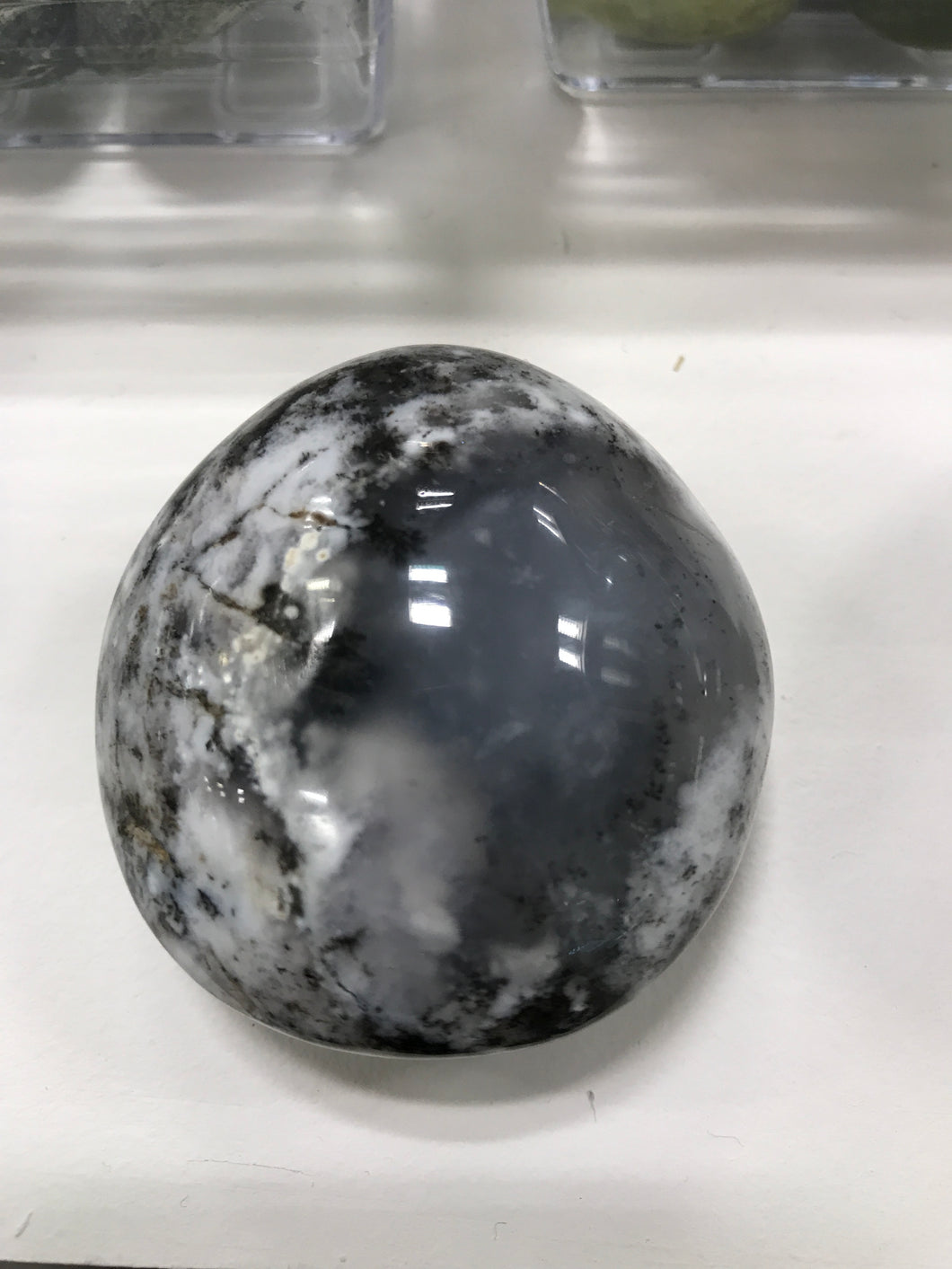 DENDRITIC AGATE PALM STONE