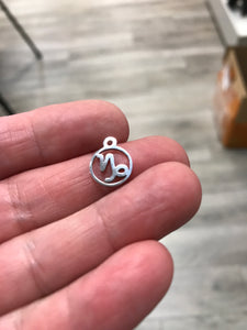 316 STAINLESS CAPRIORN CHARM