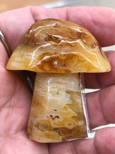 CARNELIAN MUSHROOM