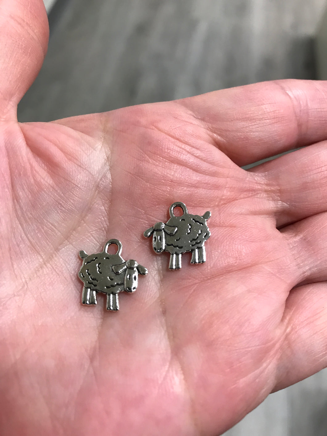 CHARM SHEEP