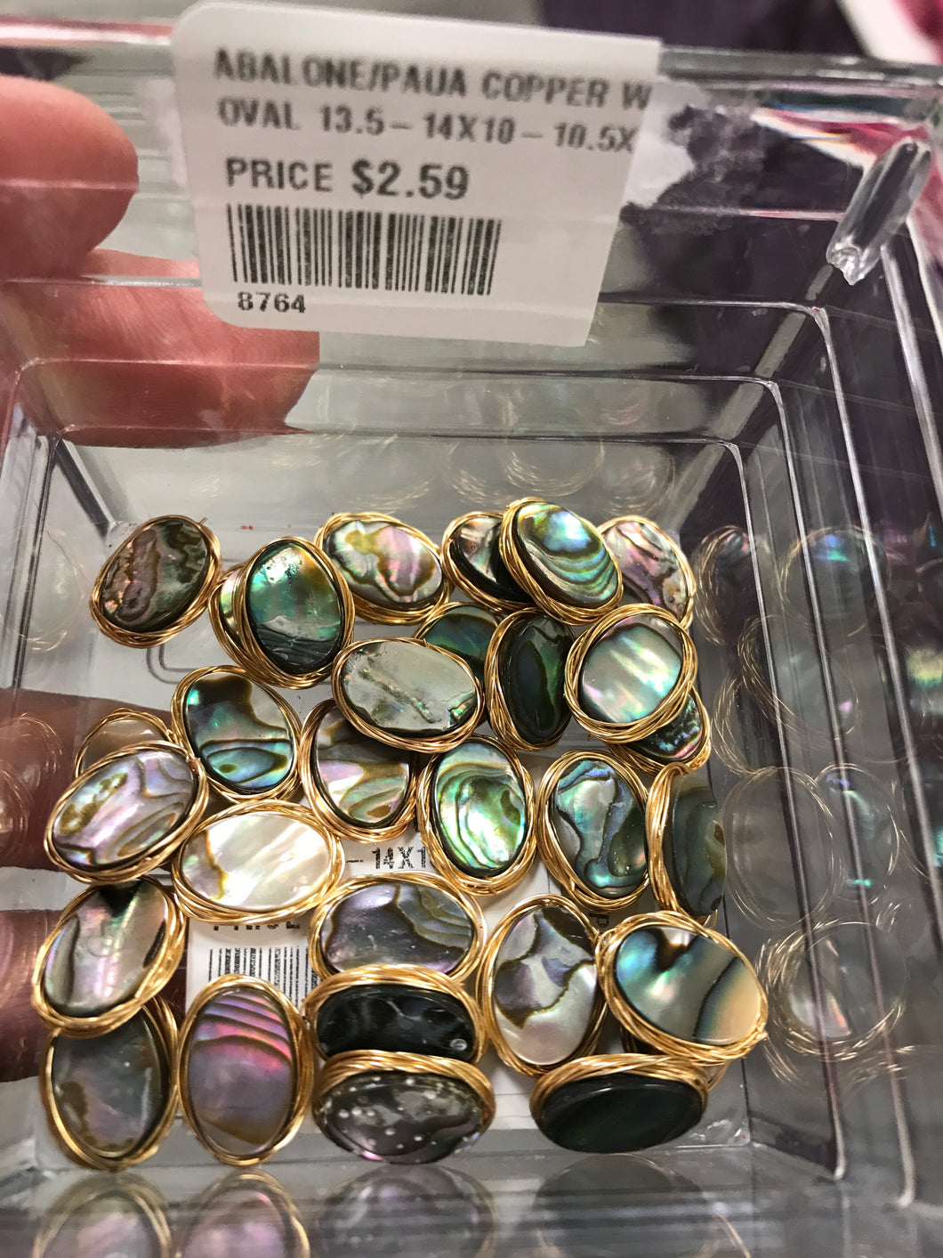 ABALONE/PAUA COPPER WIRE