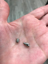 Load image into Gallery viewer, 304 STAINLESS SCREW CLASP
