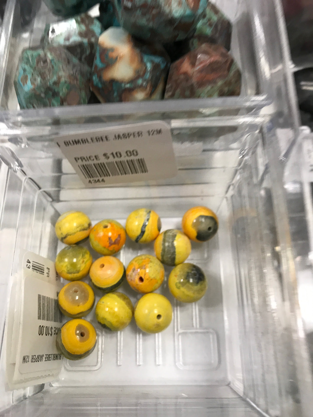 BUMBLEBEE JASPER